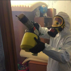 Уничтожение клопов в квартире. Кяхта